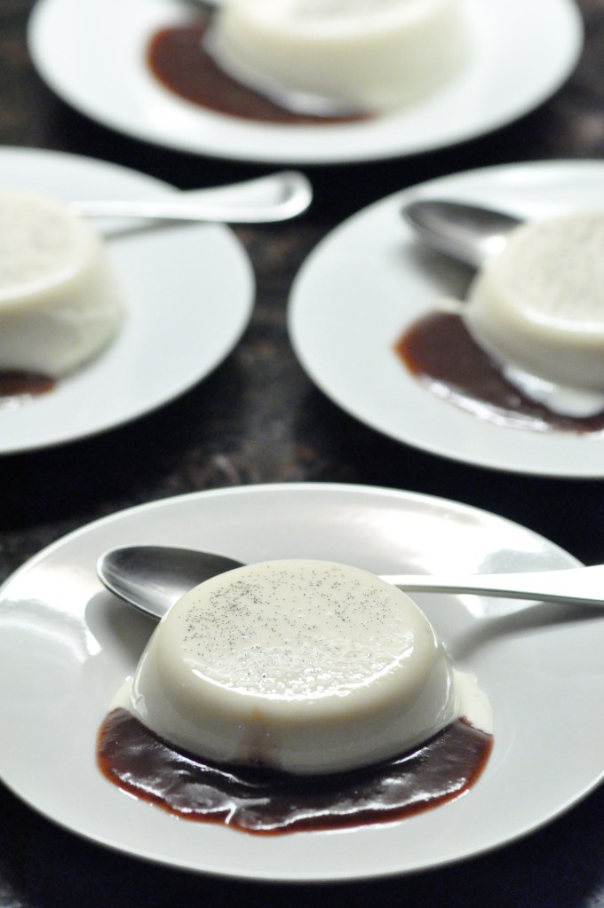 Panna Cotta with Cranberry Coulis Panna Cotta with Cranberry Coulis