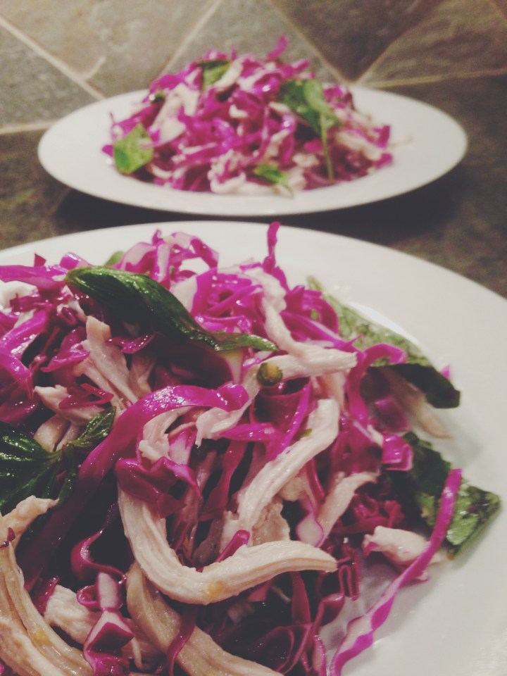 Red Cabbage Salad with Basil and Shredded Chicken Breast with Asian Inspired Dressing
